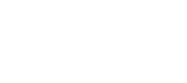 Palafox white logo
